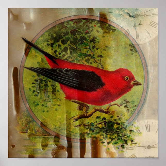 Pôster Vintage Red Bird (Frente)