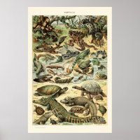 Vintage Reptiles, Adolphe Millot