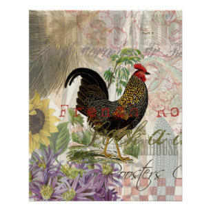 Pôster Vintage Rooster French Collage Pet Fazenda