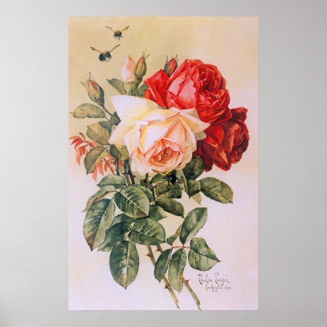 Poster vintage Rosa (Frente)