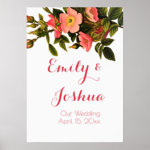 Poster Vintage Rosas Belos Botânicos Rosa