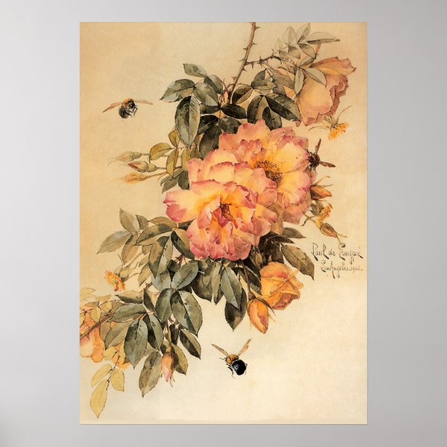 Poster Vintage Rosas e abelhas (Frente)