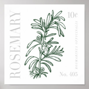 Poster Vintage Rosemary