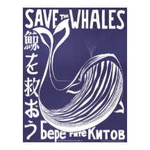 Poster vintage: Salvar as baleias (1973)