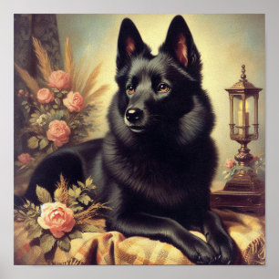 Poster Vintage Schipperke Dog Painting