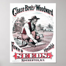 Poster Vintage Seed Advertisement