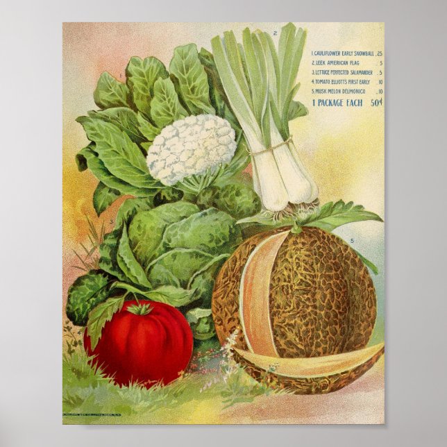 Poster Vintage Seed Advertisement (Frente)