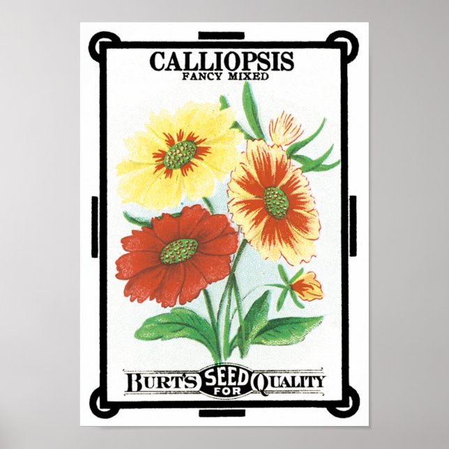 Poster Vintage Seed Packet Art, Calliopsis Garden Flowers (Frente)