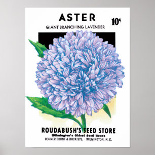 Pôster Vintage Seed Packet Art, Purple Aster Flowers