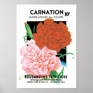 Poster Vintage Seed Packet Label Art, Carnations Flowers