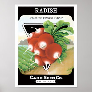 Pôster Vintage Seed Packet Label Art, Rabanetes De Escarl