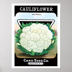 Pôster Vintage Seed Packet Label Art, Veggggies De Couve-