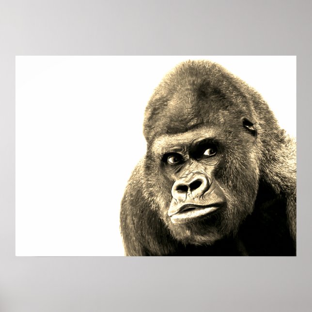 Poster Vintage Sepia Gorilla (Frente)