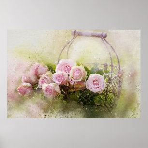 Poster Vintage Shabby Chic Watercolour Pink Roses In Bas