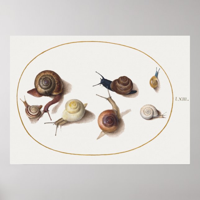 Poster Vintage Snails (Frente)