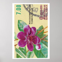 Poster Vintage Sri Lanka Flower Print - Postage Stam