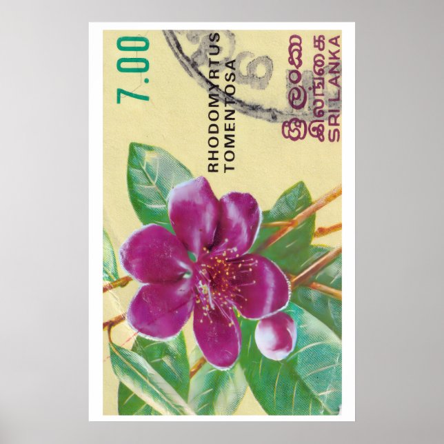 Poster Vintage Sri Lanka Flower Print - Postage Stam (Frente)