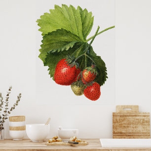 Poster Vintage Strawberry