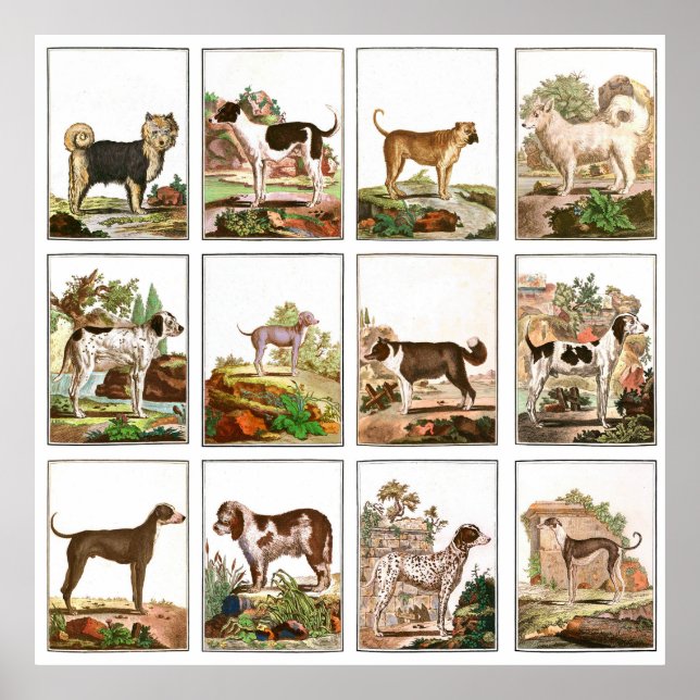 Poster Vintage Style Dog Collage (Frente)