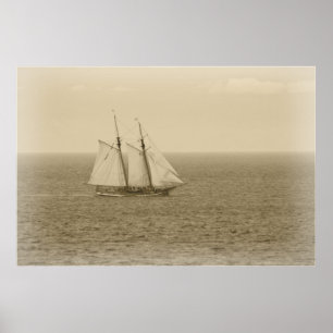 Poster Vintage Swift Sure