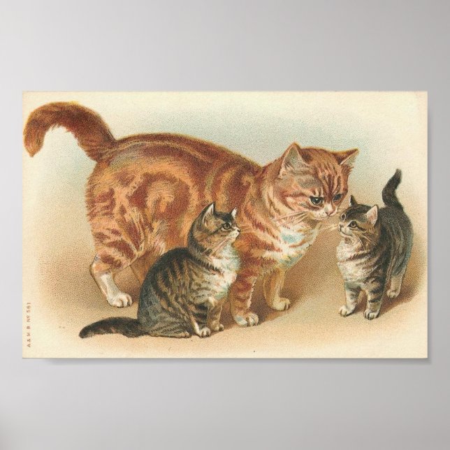 Poster Vintage Tabby Cat Com Kittens (Frente)