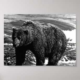 Poster Vintage USA Alaska brown bear