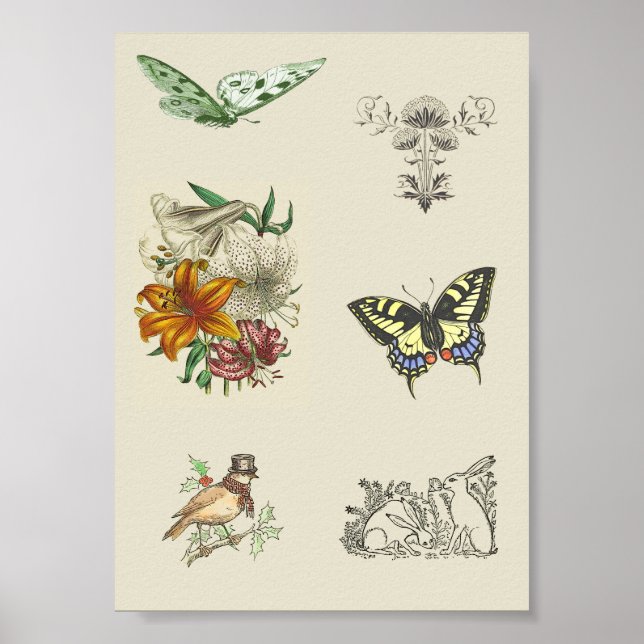 Poster Vintage Variety Imintable Scrapbooking Imprimindo  (Frente)