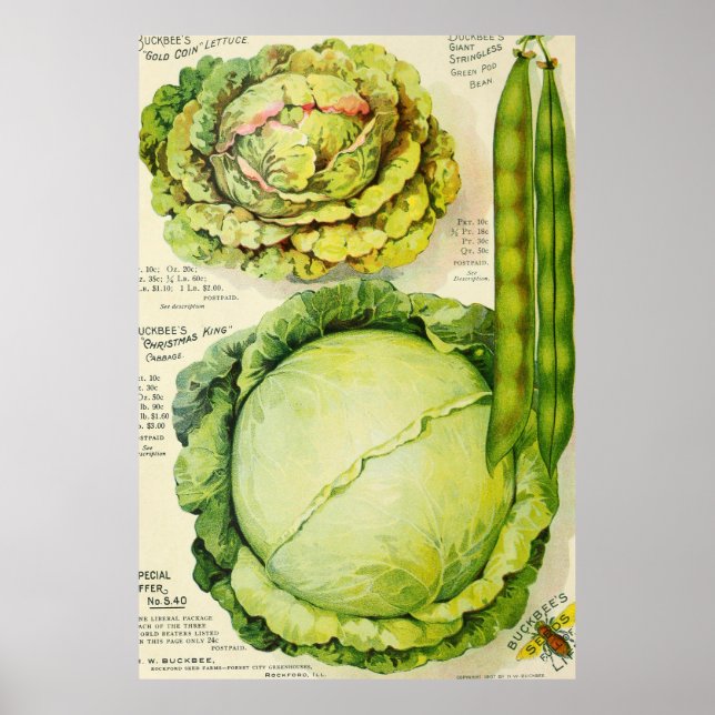 Poster Vintage Vegetable Anúncio (1907) (Frente)