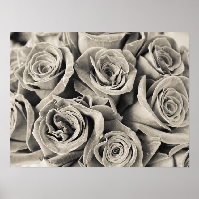 Pôster Vintage Velvet Beauty (Frente)