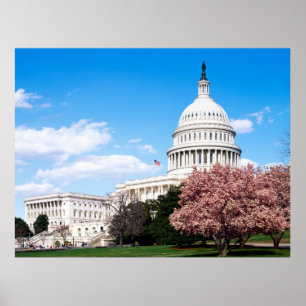 Poster Vintage Washington DC