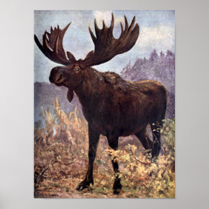 Pôster Vintage Wild Animal, Moose ou Elk por Swan CE