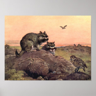 Pôster Vintage Wild Animal, Vizcachas, por Winifred Auste