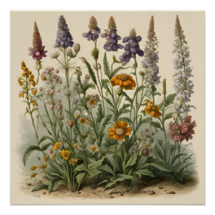 Pôster Vintage Wildflower