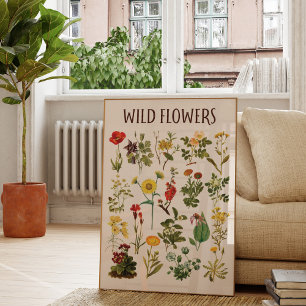 Poster Vintage Wildflower Chart Wall Art