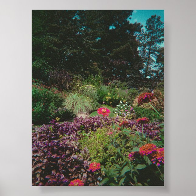 Poster Vintage Wildflower Garden (Frente)