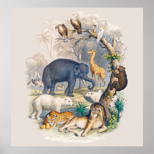 Poster Vintage Wildlife na Nature Art (Frente)