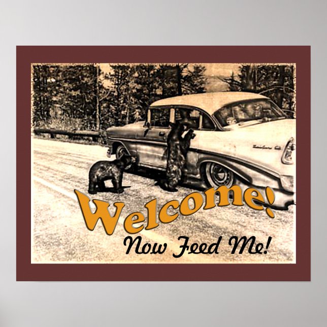 Poster Vintage Yellowstone Black Bear e Tourist (Frente)