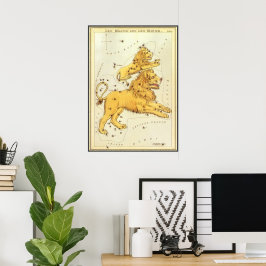 Pôster Vintage Zodiac, Astrologia, Constelação de Leão Li
