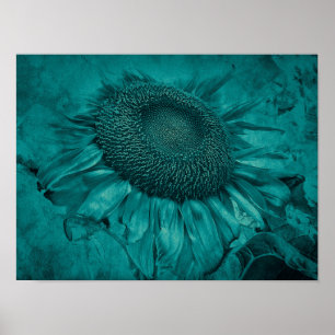 Poster Vintagem Azul-Teal-Girassol Gigante