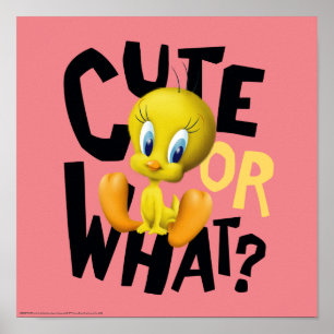 Poster VINTE™- Bonito Ou O Quê?