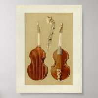 Viola da Gamba