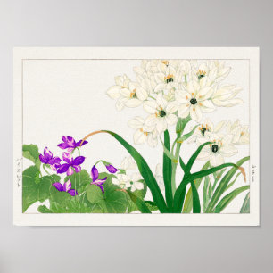 Poster Viola, flor de estrela árabe de Tanigami Konan