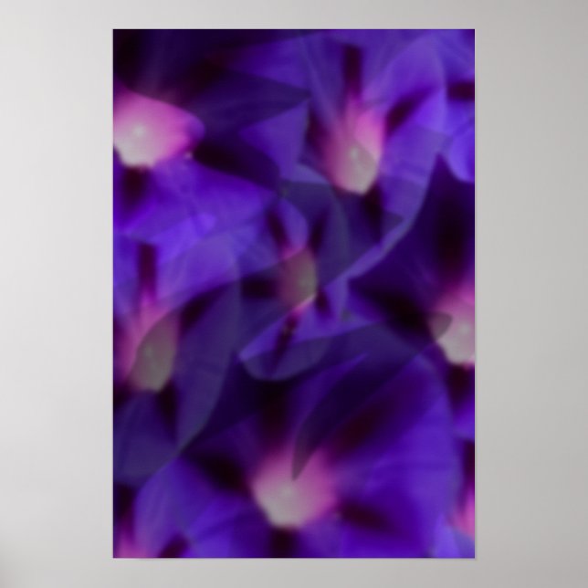 Poster Viola Skys (Frente)