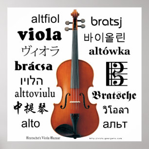 Pôster Viola Translations