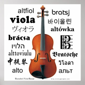 Pôster Viola Translations