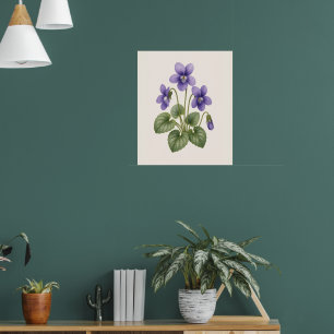Poster Violet Botânica, Flor do Mês de Nascimento de Feve