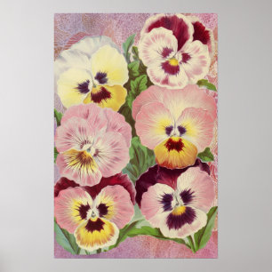 Poster Violeta e Amarela Pensées e Ephemera de Renda