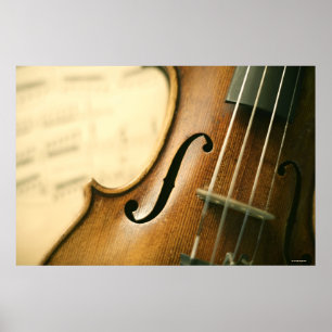 Pôster Violino detalhado