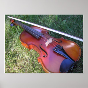 Pôster Violino ensolarado