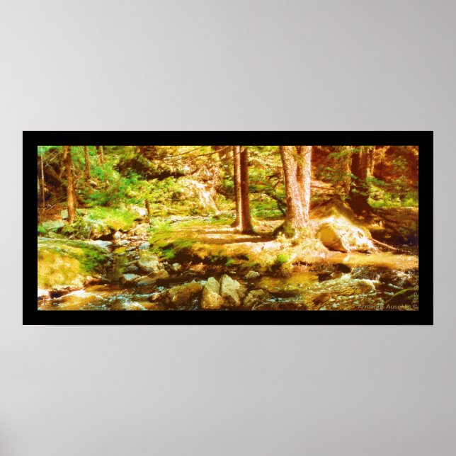 Pôster Virgin Whirl (Frente)